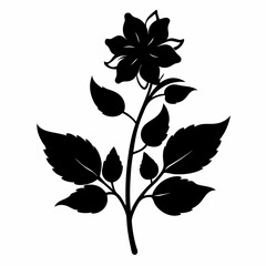 Balsam flower Black silhouette