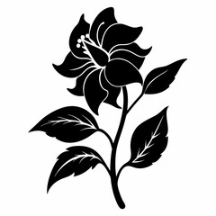 Balsam flower Black silhouette