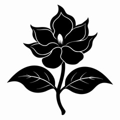 Balsam flower Black silhouette