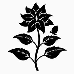 Balsam flower Black silhouette