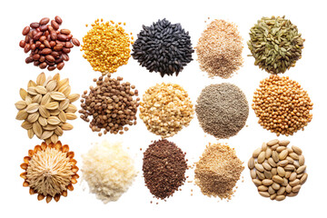 A diverse assortment of seeds, including vibrant yellows, deep browns, and subtle greens, arranged in neat clusters to showcase natural variety, on a transparent background
