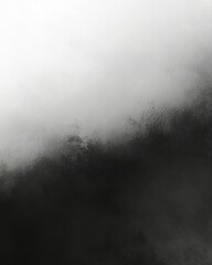 Fototapeta premium Abstract monochrome gradient background with soft textures and subtle light variations