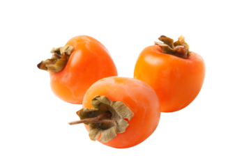 Ripe Persimmons Isolated