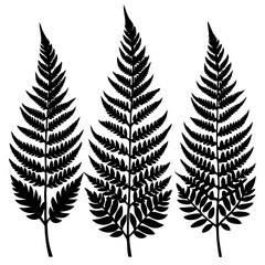 Fototapeta premium A pack of fern leaf silhouettes 3 vector illustration