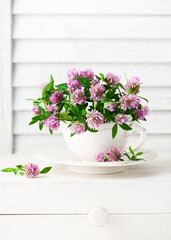 Beautiful bouquet of red clover flowers in a vintage tea cup. Rustic still life with wildflowers. (Trifolium pratense). Selective soft focus.
