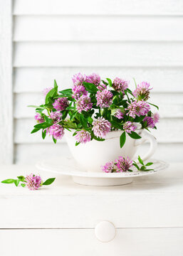 Beautiful bouquet of red clover flowers in a vintage tea cup. Rustic still life with wildflowers. (Trifolium pratense). Selective soft focus.