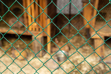 Fototapeta premium Corral grid. An aviary in zoo or on farm. Metal grid