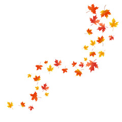 Flying maple leaves. Autumn leaves. Background with falling leaves. Autumn overlay in flat style. For banner, poster, background, autumn season themed decor.