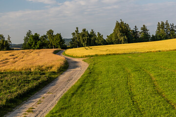 Fields near Letohrad, Czech Republic