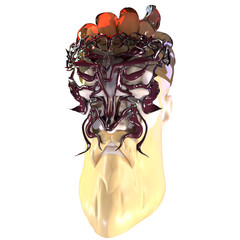 the object of shape rendering 3d