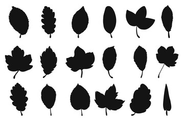 Set of hand drawn leaves silhouettes isolated on white background.Beautiful doodle collection of leaves. 
