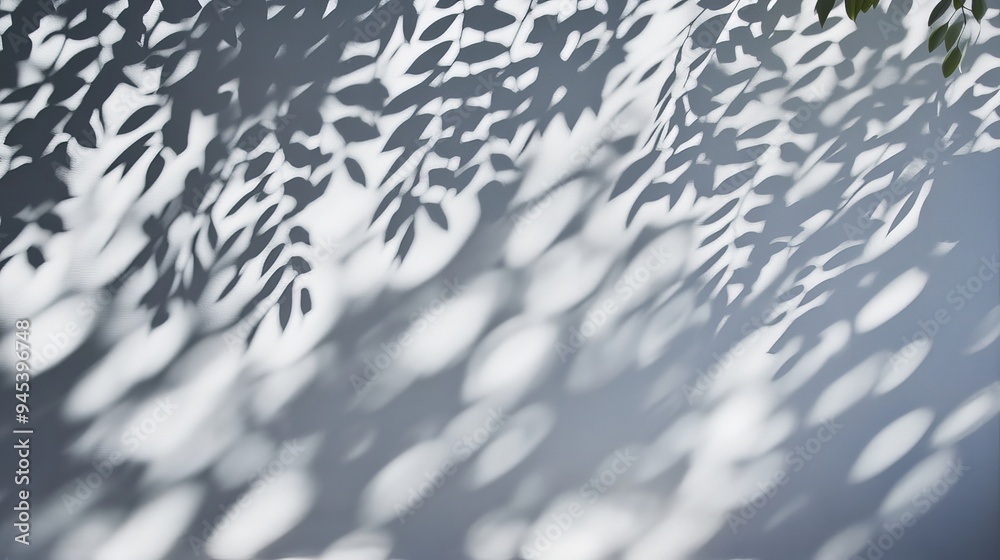 Poster A beautiful display of leaf shadows cast against a white background, creating an intricate and naturally inspired pattern that plays with light and shadow.