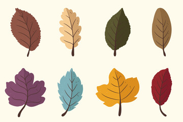 Collection of colorful leaves isolated on white background. Beautiful doodle hand drawn leaves. 