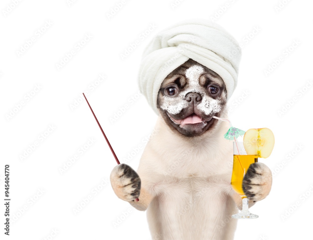 Poster funny pug puppy with towel on it head and with cream on it face drinks orange cocktail and points aw