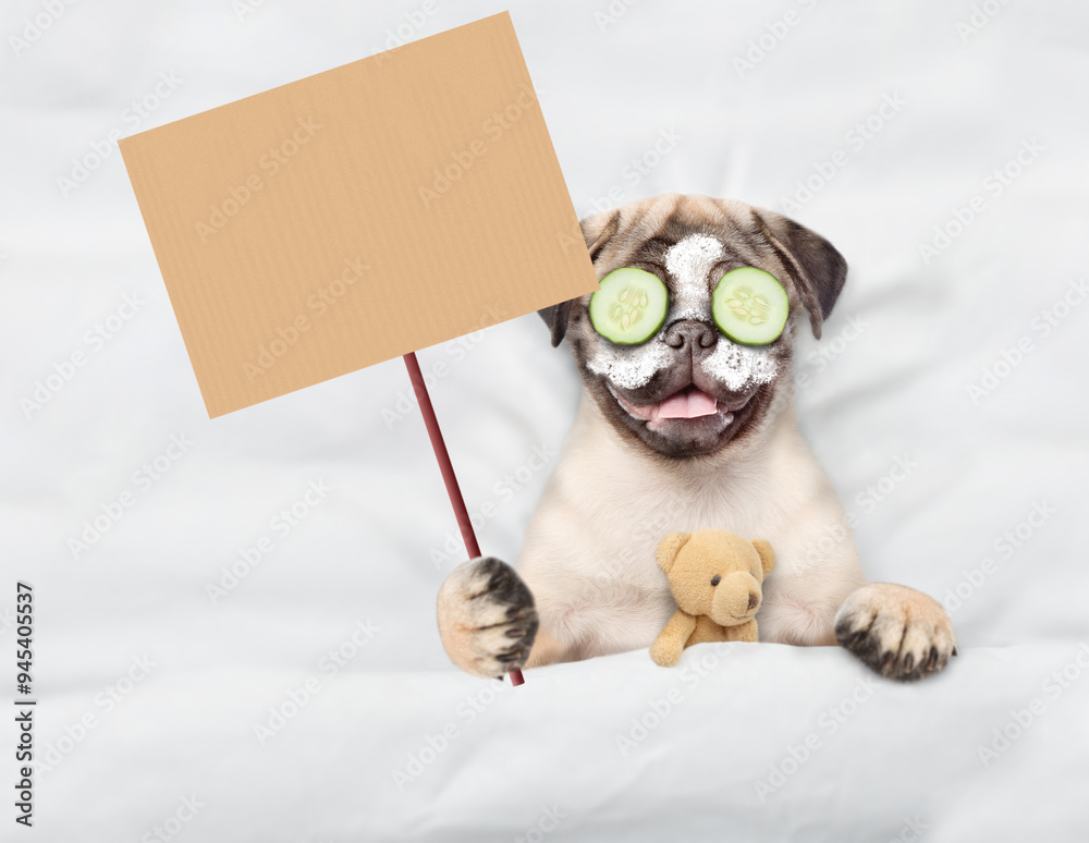 Aufkleber Funny Pug puppy with pieces of cucumber on it eyes relaxing on the bed at home with favorite toy bear and showing blank placard. Top down view. Empty space for text