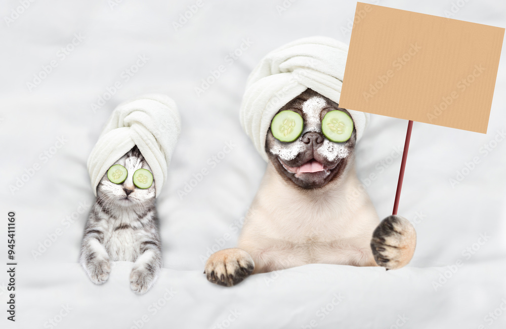 Poster cute kitten and pug puppy with towel on their heads, with cream on their faces and with a pieces of 