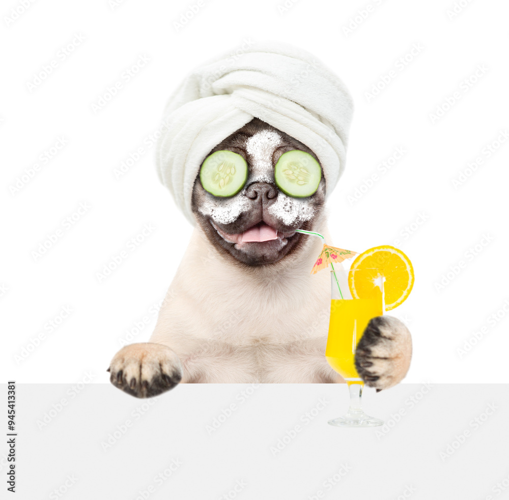 Poster Funny Pug puppy with towel on it head and with pieces of cucumber on it eyes holds orange cocktail above blank white banner. isolated on white background