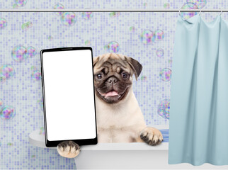 Fototapete bei efototapeten.de bestellen   