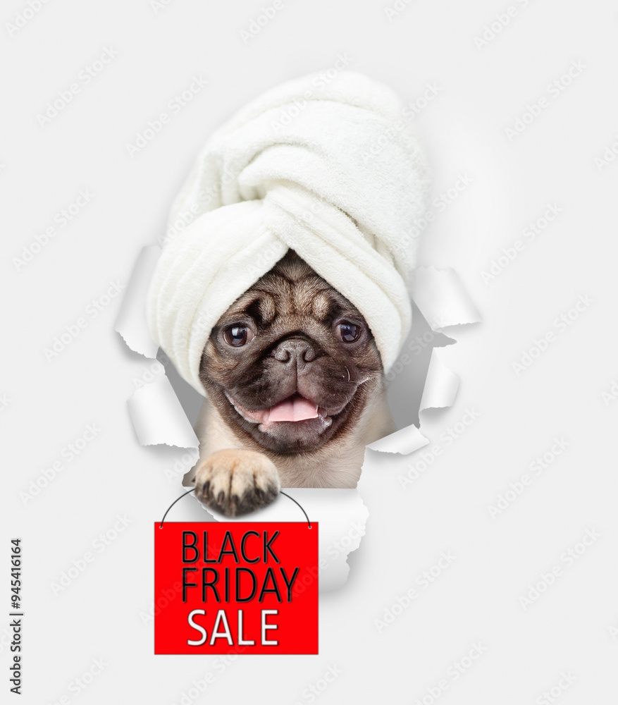 Poster Smiling Mastiff puppy with towel on it head looking through a hole in white paper and showing signboard with labeled 