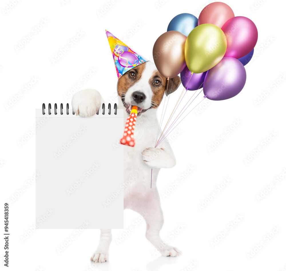 Poster happy jack russell terrier puppy wearing party cap holds balloons, blows in party horn and shows bla