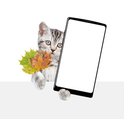 Funny kitten holds dry autumn leaves and shows smartphone with white blank screen in it paw above blank white banner. isolated on white background