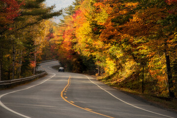 Narrow winding road among colorful autumn forest in mountains. Sunny day.