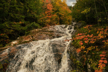 Waterfall among autumn forest at sunset. New Hampshire National Park USA.