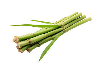 Fototapeta premium High-resolution sugarcane isolated on transparent background for natural sweetener and organic farming concepts in culinary and health-themed design projects.