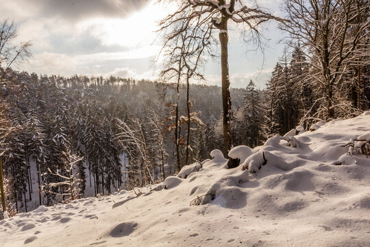 Winter view of a landscape of Prachovske skaly rocks in Cesky raj (Czech Paradise) region, Czech Republic