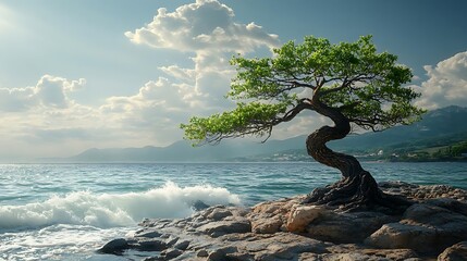 Solitary Tree on Rocky Coastline - Photo