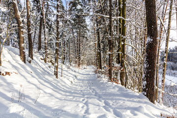 Winter view of a snow covered path in Prachovske skaly rocks in Cesky raj (Czech Paradise) region, Czech Republic