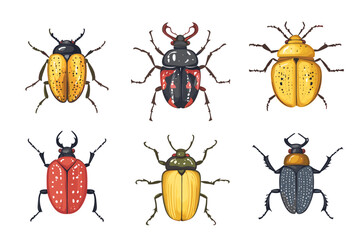 Vector drawing set of bugs, beetles and insects hand drawn insect isolated at white background