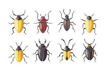 Vector drawing set of bugs, beetles and insects hand drawn insect isolated at white background