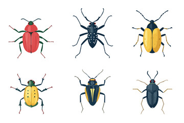 Vector drawing set of bugs, beetles and insects hand drawn insect isolated at white background