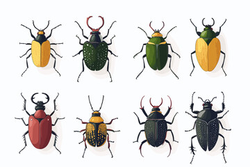 Vector drawing set of bugs, beetles and insects hand drawn insect isolated at white background
