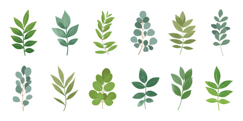 Collection of botanical elements in green color. Set of eucalyptus leaf, branches, leaves and herb with watercolor. Hand drawn of foliage vectors for wedding decor, website, graphic and shop.
