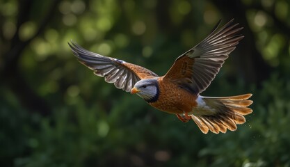 Fototapeta premium Majestic Bird in Flight