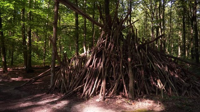 cabane en branches dans un parc