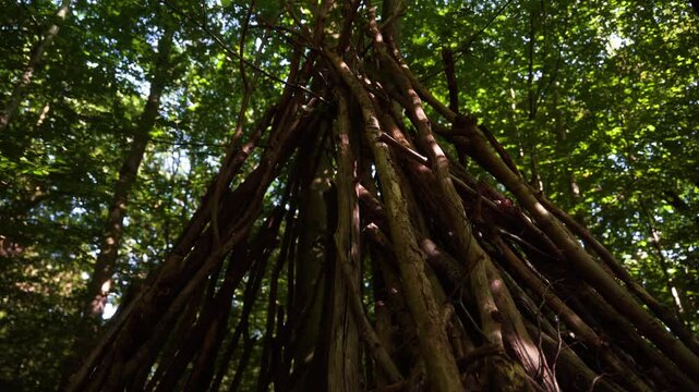 cabane en branches dans un parc