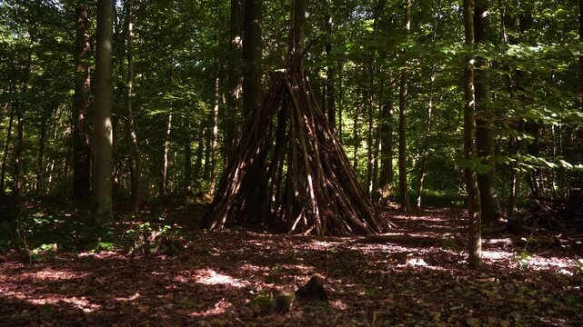 cabane en branches dans un parc