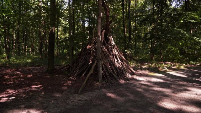 cabane en branches dans un parc
