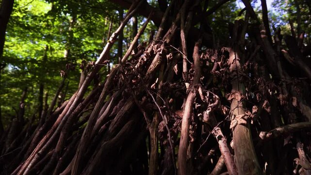 cabane en branches dans un parc