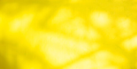 Backgrund summer yellow overlay abstract summer sun shadow leaf white gradient color blur room cement floor wall backdrop mockup product beauty cosmetic presentation minimal empty card tropical.