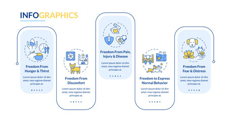 Animal welfare freedoms rectangle infographic vector. Farming, healthcare. Vaccination, treatment. Data visualization with 5 steps. Editable rectangular options chart. Lato-Bold, Regular fonts used