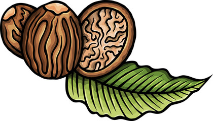 Doodle cartoon funny nutmeg