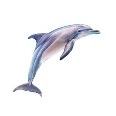 Dolphin fish, Fish, Isolated on Transparent Background, Graphic Resource for Gourmet Advertising, Menu Design, Website Banners, Packaging, and Social Media Campaigns