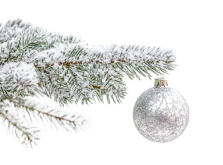 Christmas tree branch with silver ornament hanging.