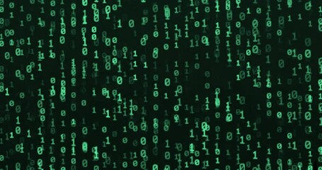 green matrix style binary code, falling numbers digital binary code processing on screen background loop, data rendering of a scientific technology data - Powered by Adobe