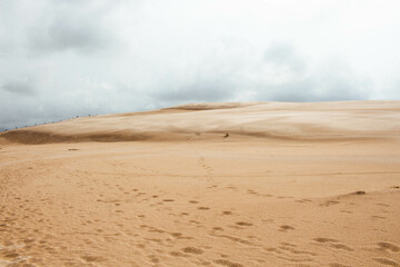 Landscape of golden sand dunes in the desert on overcast day with footsteps