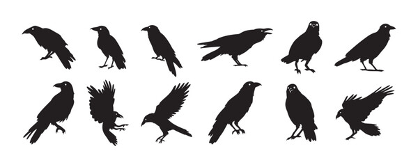 Crow isolated black silhouette set. Crows, raven halloween Dark birds icon clipart